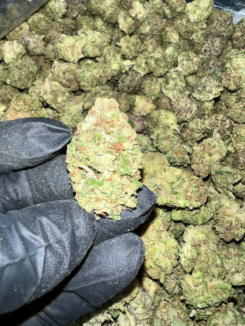 Detroit Runtz THCa