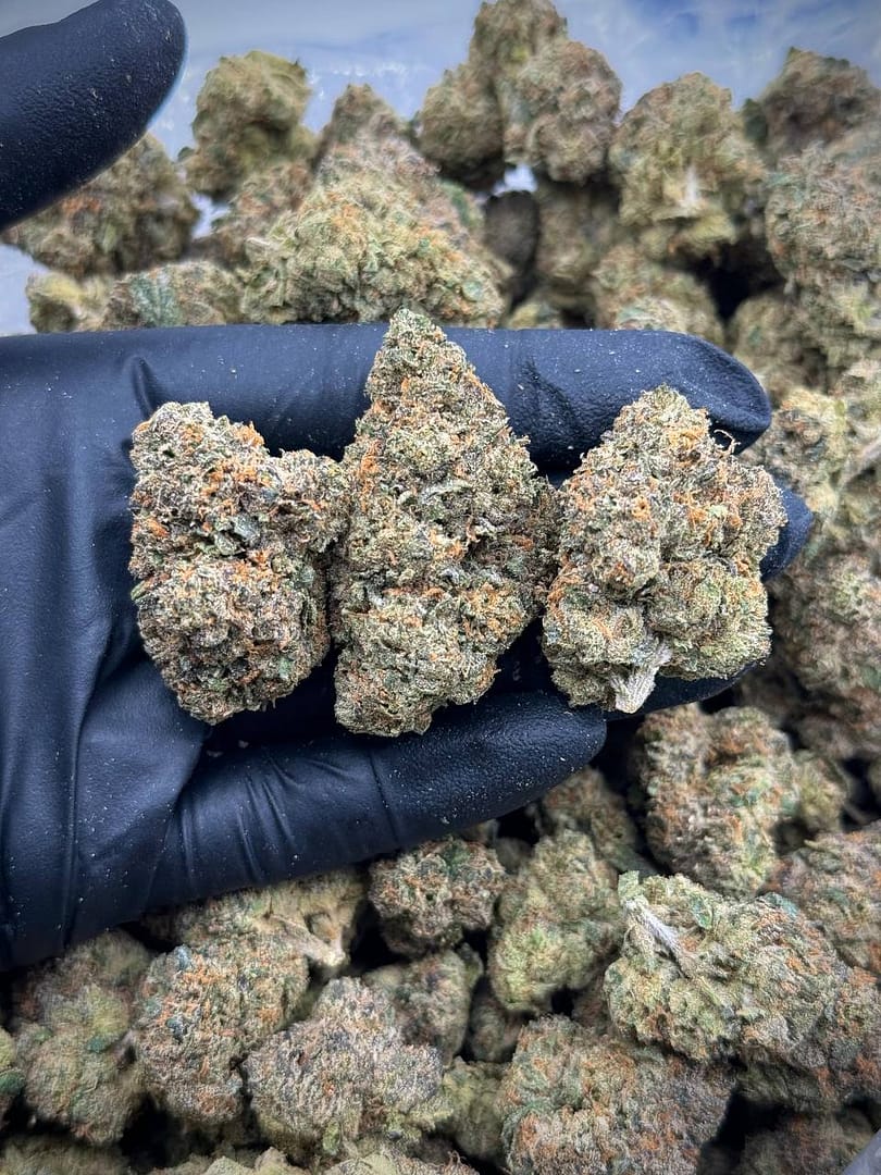 Purple Ice Pops THCA Strain