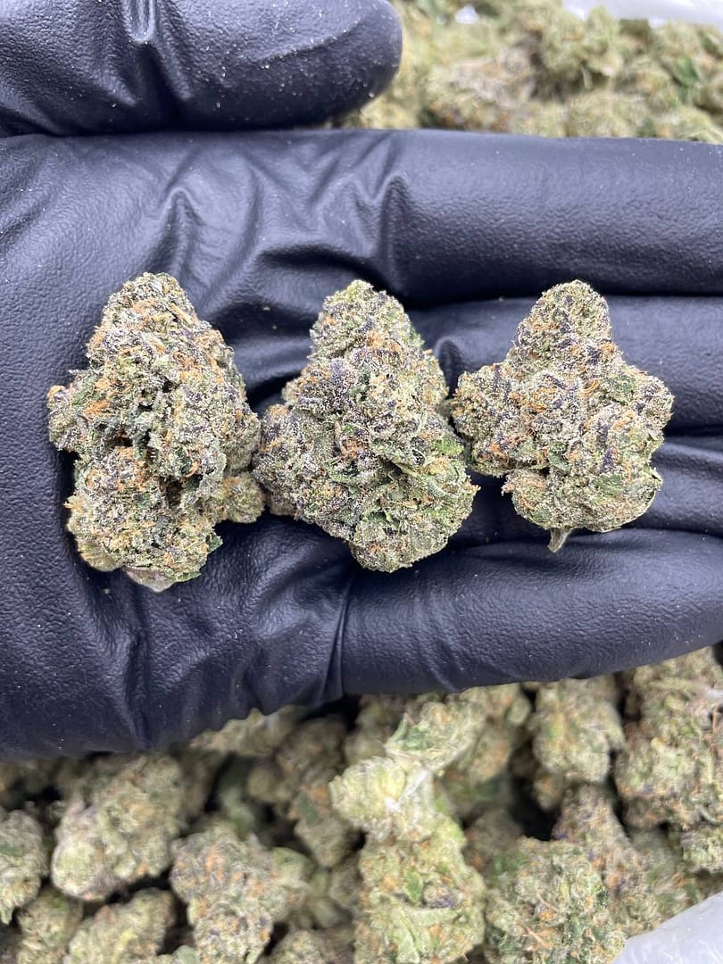 Sunset Sherb THCa