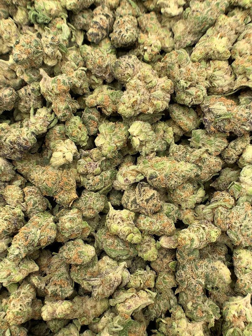 Close-up of Super Boof THCa Flower, highlighting the strain's unique characteristics and trichome structure