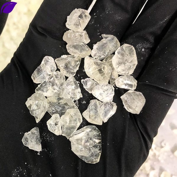 Purchase wholesale thca diamonds in bulk online