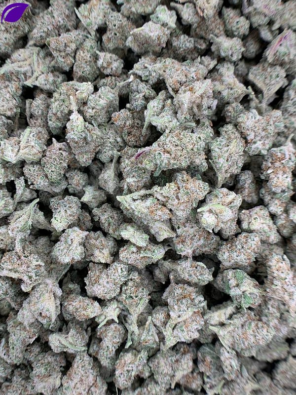 MAC THCa Flower - High-Potency Cannabis Strain for Wholesale