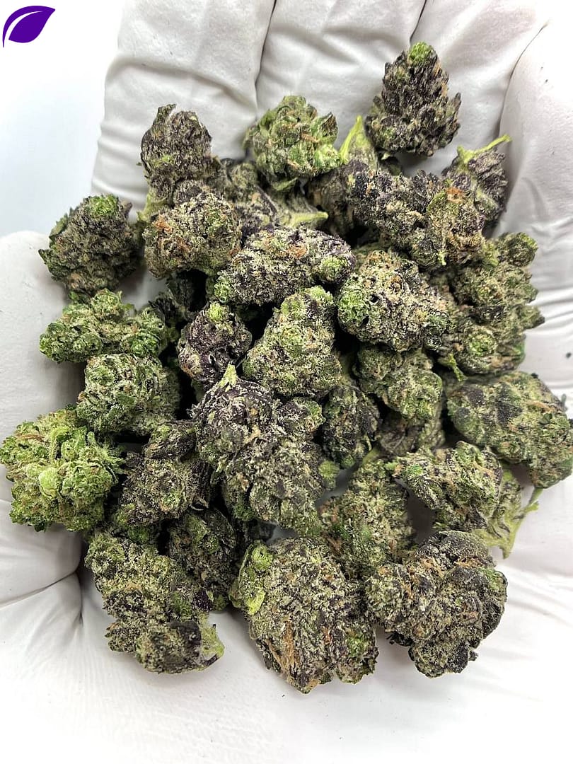 Premium Grape Gelato THCA Flower wholesale, aromatic and potent buds