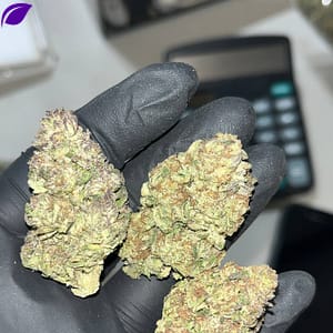 Biscotti THCA