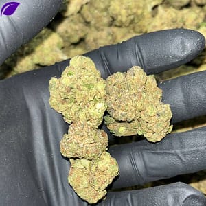 Black Runtz THCA
