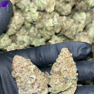 Blueberry Muffins THCA