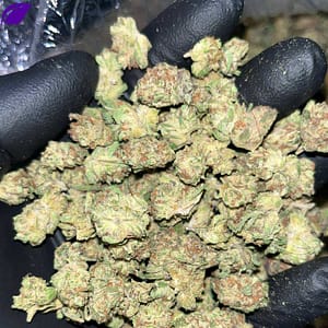 Unleash Intensity with Platinum Punch Smalls THCA Strain | High THC Indica