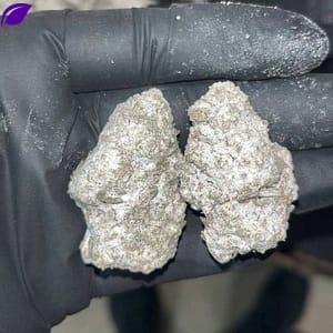 Snowcap Bigs