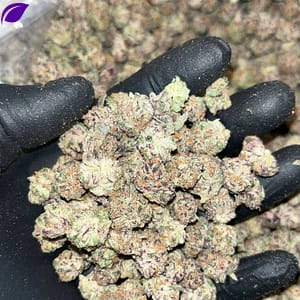 Tropical Punch Smalls