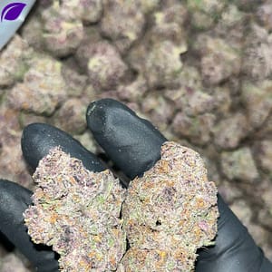 Tropicana Cookies