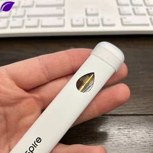 2g THCA Disposables - Double the Size for a Potent Cannabis Vaping Experience