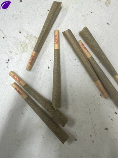 1 Gram THCa Prerolls - Pre-Rolled for a Convenient and Potent Cannabis Experience