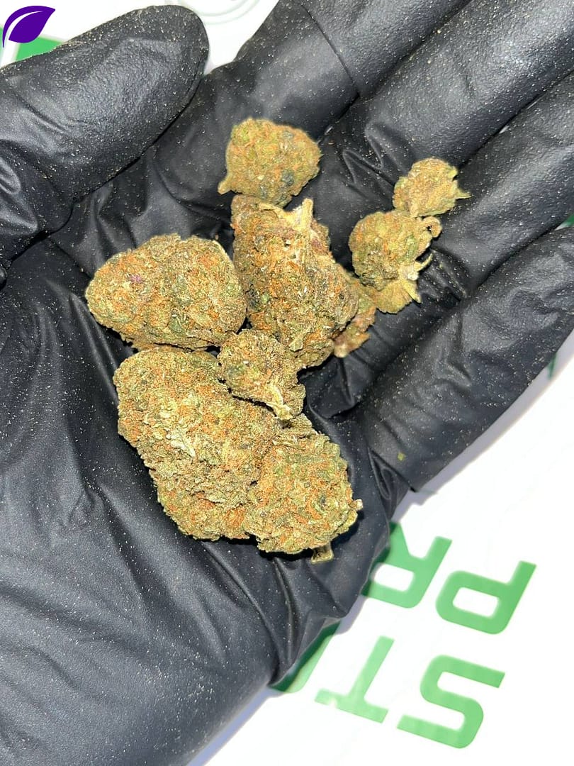 Diesel Cookies THCA Flower Bulk Wholesale