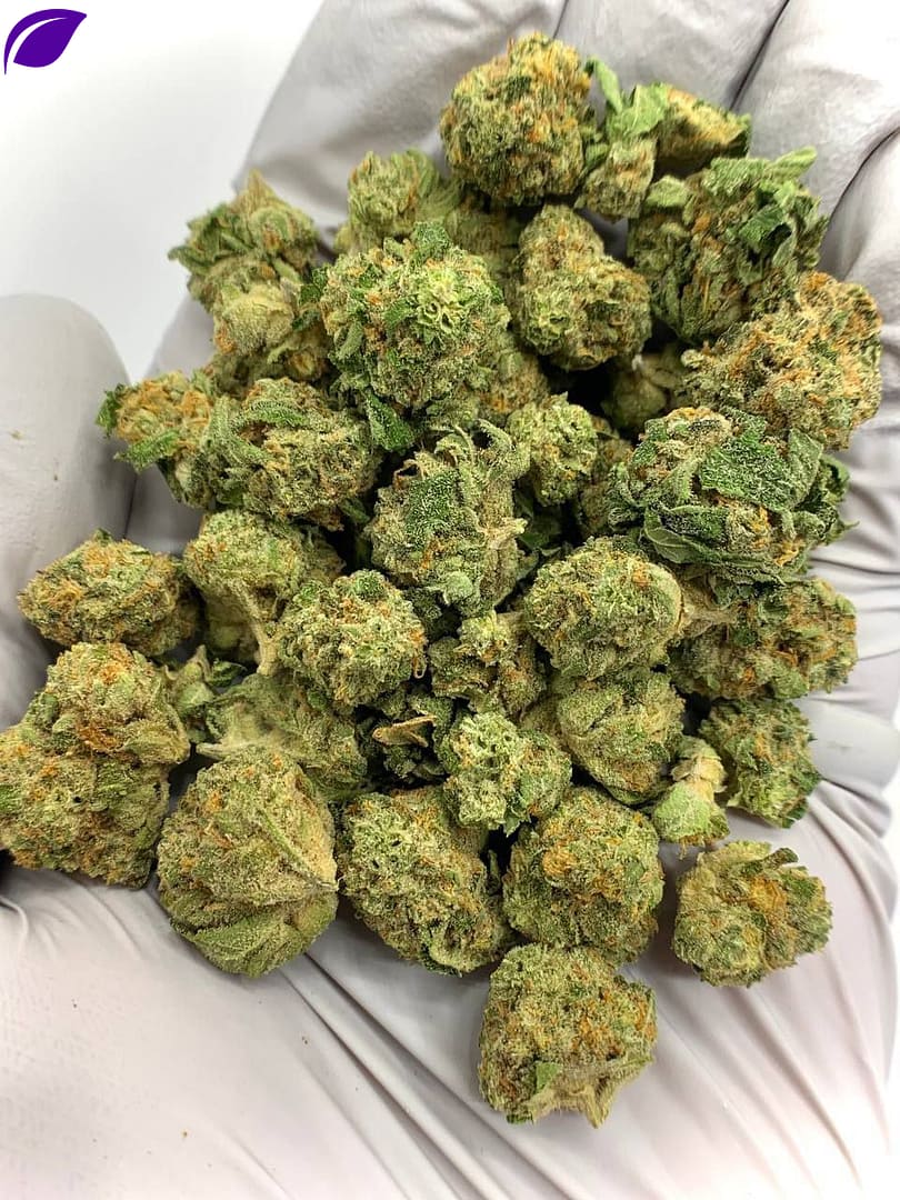 Bubble Bath THCa Flower for Bulk Wholesale Purchase