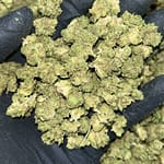 Apple Fritter THCa Smalls