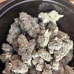 Critical Berry THCa Flower