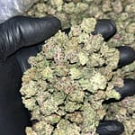 G41 Smalls THCA Exotic