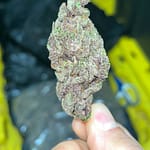 Gorilla Skunk Indoor THCa