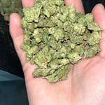 Permanent Marker THCa Smalls