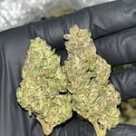 Project 007 THCa Flower