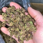 Queen Slayer THCa Smalls