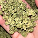 Sunday Driver THCa Smalls