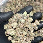 Tropical Punch THCa Smalls