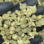 Wedding Cake THCa Smalls