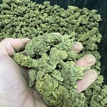 Bubblegum THCA Reggies