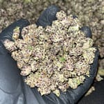 Tropicana Smalls Exotic THCa