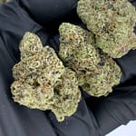 Bubble Gum Runtz THCa