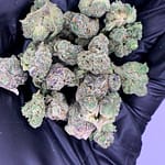 Codeine Cupz THCa Flower