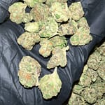 Dagashi Kush THCA Flower