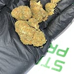 Diesel Cookies THCA Flower