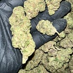 Donny Burger THCA Flower