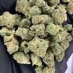 Fiji Mintz THCa Flower