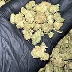 Hella Jelly THCa Flower