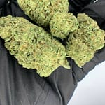 LA Kush Cake THCa Flower