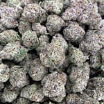 Lemon Cherry Gelato THCa