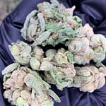 Lions Cake THCa Flower