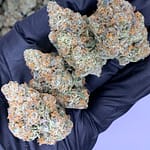 Pineapple Breeze THCa Flower