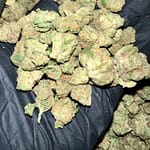 Zkittlez Exotic THCa Flower