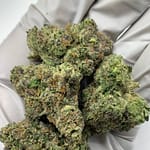 Cherry Taffy Exotic THCa Strain