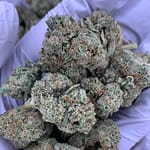 Hawaiian Shaved Ice THCa Flower