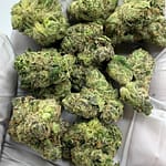 Martian Candy Exotic THCa Flower