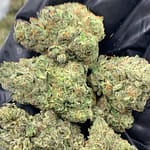 Purple Nitro THCa Flower