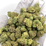 Afro Runtz Exotic THCa Flower