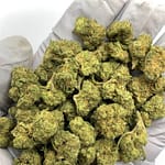 Apple Tartz THCa Flower