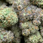 Beignets Exotic THCa Flower