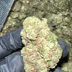 Hash Burger THCa Flower